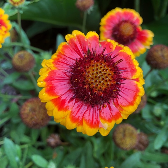 Meet your Posher, Lorna - Picture 1 of 1